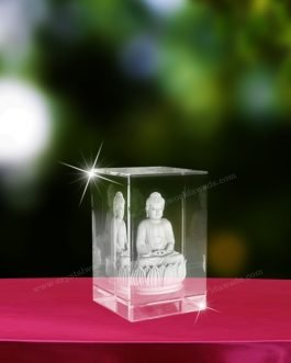 3DLE 08 3D Laser Engraving