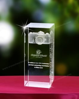 3DLE 09 3D Laser Engraving