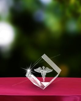 3DLE 13 3D Laser Engraving