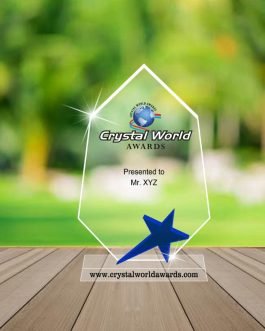 AA 10 Acrylic Awards