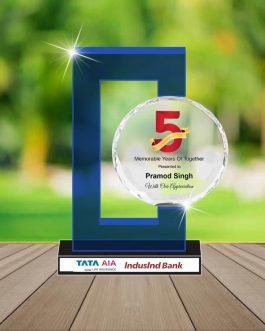 AA 12 Acrylic Awards