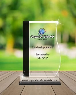 AA 04 Acrylic Awards