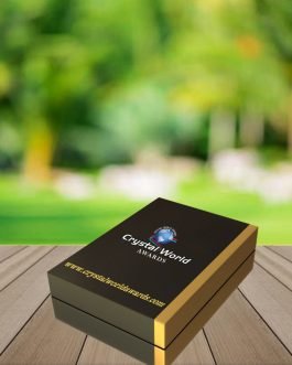 CGI 09 Corporate Gift Items