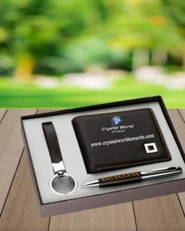 CGI 13 Corporate Gift Items