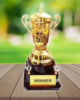 MBA 11 Metal Brass Awards