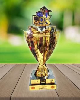 MBA 08 Metal Brass Awards