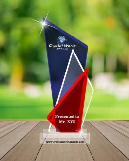 TA 11 Trophies and Awards