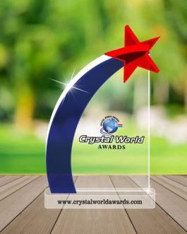 TA 13 Trophies and Awards