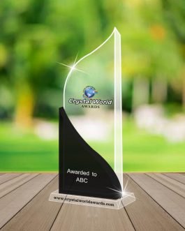 TA 16 Trophies and Awards