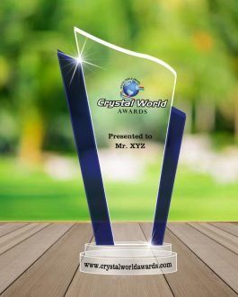 TA 07 Trophies and Awards