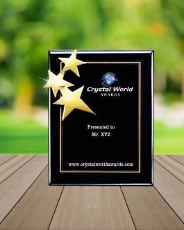 PM 06 Plaques and Mementos