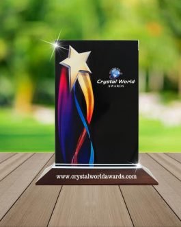 PM 01 Plaques and Mementos