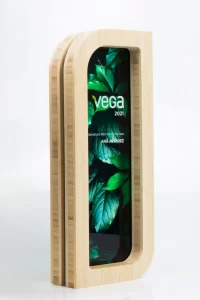 custom trophies for corporate events